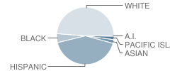 Jasper Elementary School Student Race Distribution