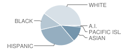 Banyan Elementary School Student Race Distribution