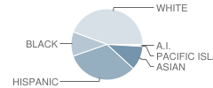 Vineyard Junior High School Student Race Distribution