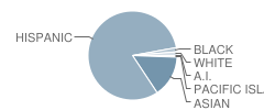 Sylvia Cassell Elementary School Student Race Distribution