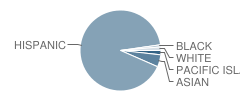 O. S. Hubbard Elementary School Student Race Distribution