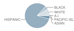 Collett Elementary School Student Race Distribution