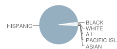 Olive Street Elementary School Student Race Distribution