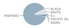 South Junior High School Student Race Distribution