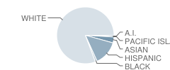 Analy High School Student Race Distribution