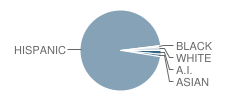Anderson Valley Elementary School Student Race Distribution