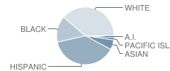 Sutter Elementary School Student Race Distribution