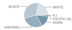 Black Diamond Middle School Student Race Distribution