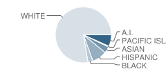 Arcata High School Student Race Distribution