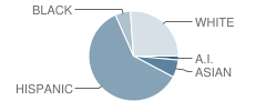 Shaffer Elementary School Student Race Distribution