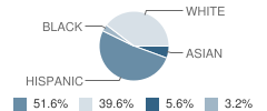 Peggy Heller Elementary School Student Race Distribution