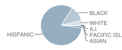 Frank West Elementary School Student Race Distribution