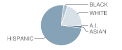 Harding Elementary School Student Race Distribution