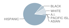 Walter Stiern Middle School Student Race Distribution