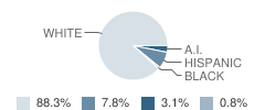 Bangor Elementary School Student Race Distribution