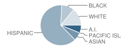 Susan B. Coombs Intermediate School Student Race Distribution