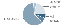 Hemmerling Elementary School Student Race Distribution