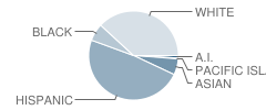 Beaumont High School Student Race Distribution