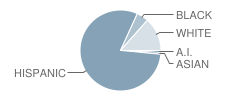 Kawana Elementary School Student Race Distribution