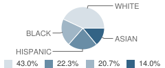 Jefferson Elementary School Student Race Distribution