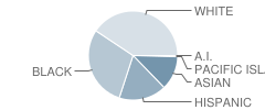 Malcolm X Elementary School Student Race Distribution