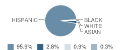 El Camino Junior High School Student Race Distribution