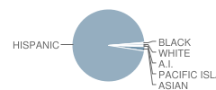 Ontiveros (Juan Pacifico) Elementary School Student Race Distribution