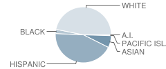 Arma J. Shull Elementary School Student Race Distribution