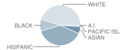 Edna Hill Middle School Student Race Distribution