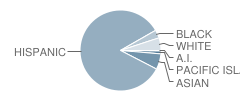 Carl E. Gilbert Elementary School Student Race Distribution