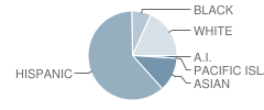 Panama Elementary School Student Race Distribution