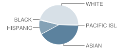 Franklin Elementary School Student Race Distribution