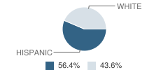 Pilarcitos High (Continuation) School Student Race Distribution