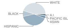 Bostonia Elementary School Student Race Distribution