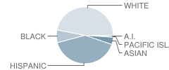 Emerald Middle School Student Race Distribution