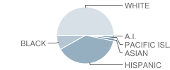 Madison Avenue Elementary School Student Race Distribution