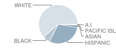 Meridian Elementary School Student Race Distribution