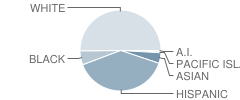 Montgomery Middle School Student Race Distribution