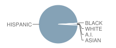 De Anza Junior High School Student Race Distribution