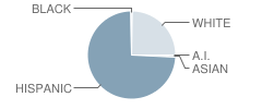 Calistoga Junior-High School Student Race Distribution