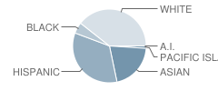 Prospect High School Student Race Distribution