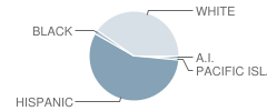 Carlsbad Village Academy Student Race Distribution