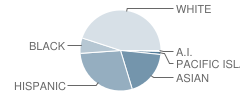 Marshall Elementary School Student Race Distribution