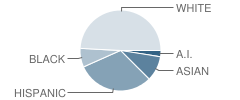 Palomares Elementary School Student Race Distribution