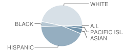 Valle Vista Elementary School Student Race Distribution