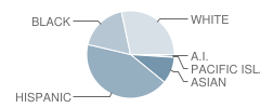 Ruth Musser Middle School Student Race Distribution