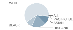 Akers Elementary School Student Race Distribution