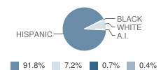 Stratford Elementary School Student Race Distribution
