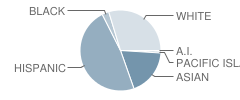 Buena Terra Elementary School Student Race Distribution