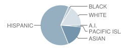 Raymond Temple Elementary School Student Race Distribution